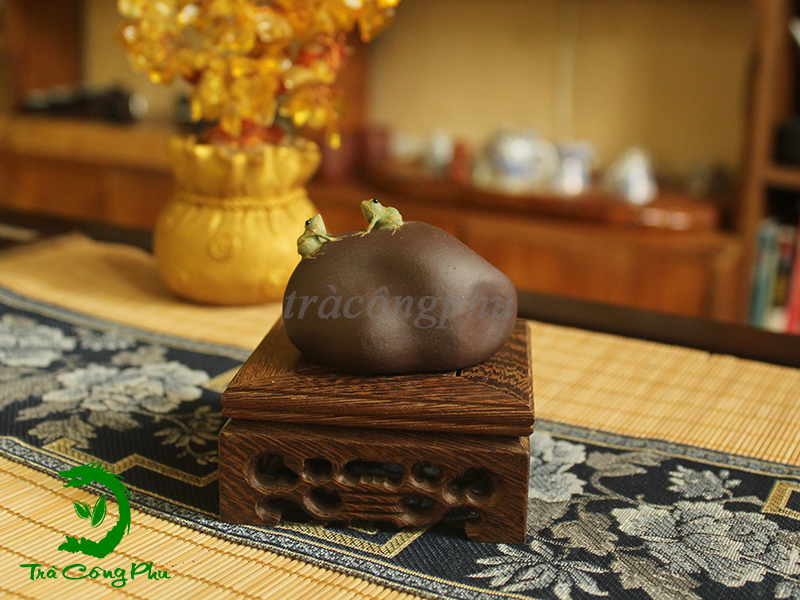 Đồ Chơi - DCBT81 mô phỏng hình ảnh hai chú ếch ngồi trên phiến đá.